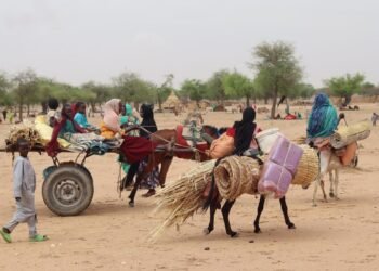 Burkina Faso : le gouvernement interdit l’exportation d’âne vers les pays voisins