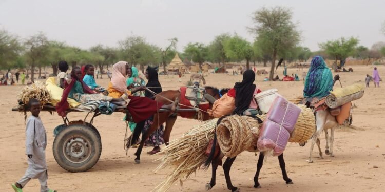 Burkina Faso : le gouvernement interdit l’exportation d’âne vers les pays voisins