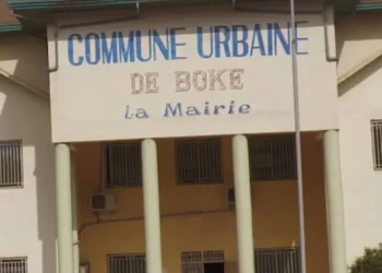 Boké :  de nouveaux responsables du cantonnement forestier officiellement installés 