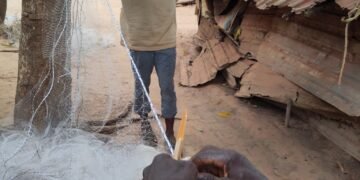 Boké : les effets néfastes de l’exploitation de la bauxite sur les activités d’élevage et de pêche (Rapport)