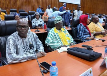 Adoption du budget au CNT : la plénière a finalement démarré