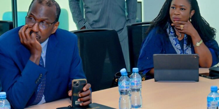 Aviculture : un partenariat stratégique entre l’IFC et le Groupe SONOCO pour dynamiser la production locale