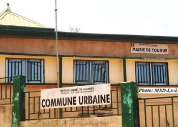 Tougué : à Tangaly, un jeune blessé par balle après avoir été surpris en train de « voler » un mouton