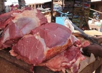 Labé : cinq bouchers arrêtés pour hausse illégale du prix de la viande