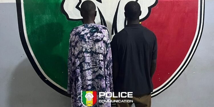 Sénégal : la police démantèle un vaste réseau de vol de bétail à Kaolack