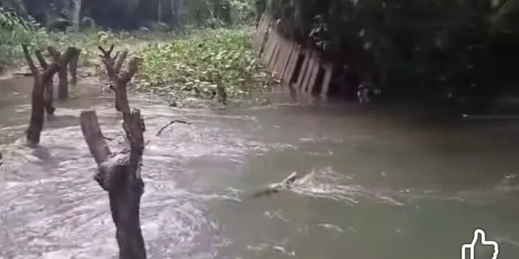Boké / Tanéné : les fortes pluies emportent le seul pont en bois reliant plusieurs villages au centre-ville