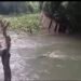 Boké / Tanéné : les fortes pluies emportent le seul pont en bois reliant plusieurs villages au centre-ville