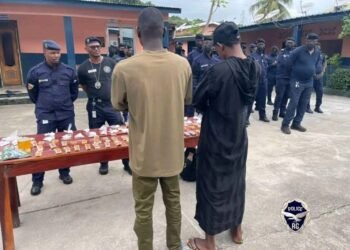Kipé (Conakry) : deux personnes interpellées avec 725 grammes de cocaïne destinés à la France