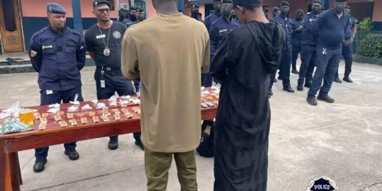 Kipé (Conakry) : deux personnes interpellées avec 725 grammes de cocaïne destinés à la France