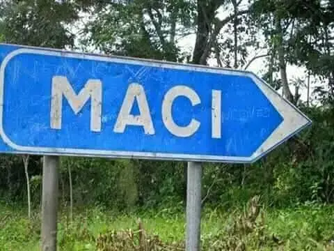 Maci/Pita : une femme interpellée, soupçonnée de simuler des troubles mentaux