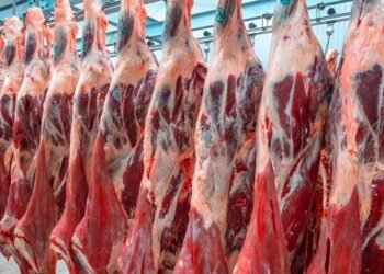 Labé : l’application du prix de 50 000 GNF le kilo de viande paralyse les activités de l’abattoir