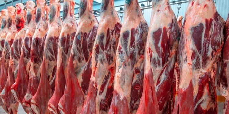 Labé : l’application du prix de 50 000 GNF le kilo de viande paralyse les activités de l’abattoir