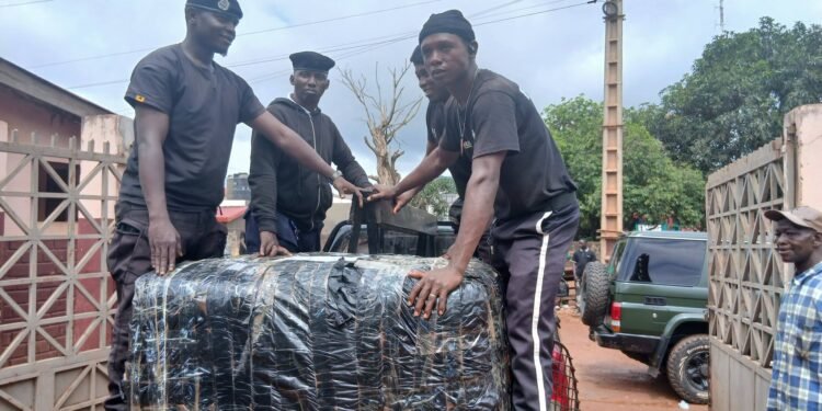 Kindia : plus de 150 kg de chanvre indien saisis, un suspect interpellé