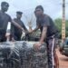 Kindia : plus de 150 kg de chanvre indien saisis, un suspect interpellé