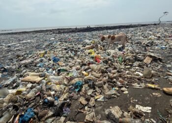 Conakry : Zoom sur la plage de Takonko, envahie par les ordures