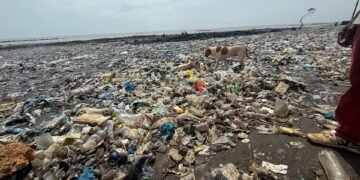 Conakry : Zoom sur la plage de Takonko, envahie par les ordures
