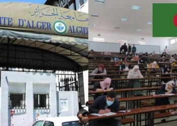 Guinée : des offres de bourses d’études pour l’Algérie (SNABE)