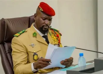 Guinée : Malick Tidiane Touré nommé à la tête du Conseil d’administration de l’ONDRG