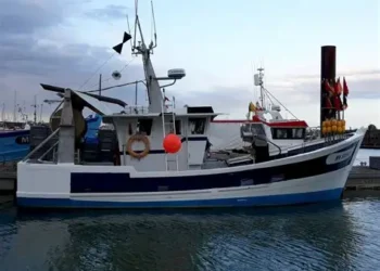 Pêche : la Guinée envisage l’acquisition de six chalutiers et d’un navire de recherche
