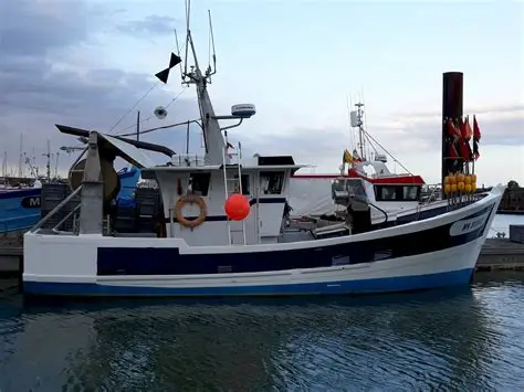 Pêche : la Guinée envisage l’acquisition de six chalutiers et d’un navire de recherche