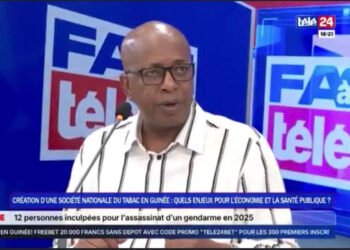 Création de la Société nationale du tabac : Ibrahima Sory Cissé salue une décision favorable à l’économie et à l’emploi des jeunes