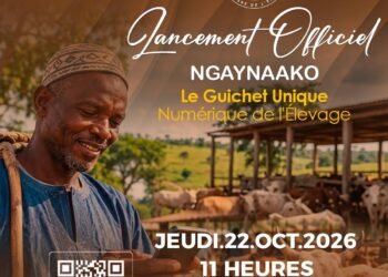 Élevage : le ministère lance NGAYNAAKO, un guichet unique numérique dédié aux éleveurs guinéens
