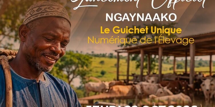Élevage : le ministère lance NGAYNAAKO, un guichet unique numérique dédié aux éleveurs guinéens