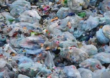 Interdiction des sachets plastiques en Guinée : « Il fallait anticiper », estime Fatou Baldé Yansané