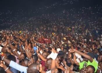 Musique:  À Bercy, Youssou N’Dour fait vibrer l’Afrique et met la  Guinée à l’honneur
