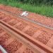 Kolaboui : un nouveau-né retrouvé abandonné sur les rails à Mansaliya, une mère présumée interpellée
