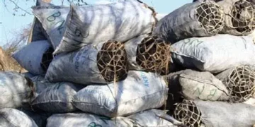 Le sac de charbon vendu jusqu’à 70 000 GNF à Conakry : l’Union des consommateurs de Guinée dénonce  et appelle à signaler les abus