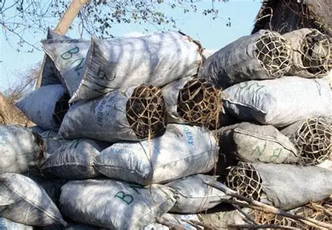 Le sac de charbon vendu jusqu’à 70 000 GNF à Conakry : l’Union des consommateurs de Guinée dénonce et appelle à signaler les abus